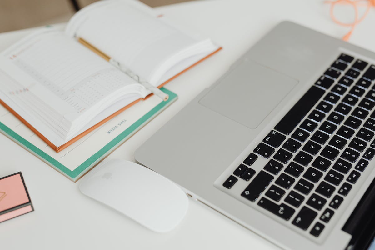 Document workflow showing automated organization pipeline
