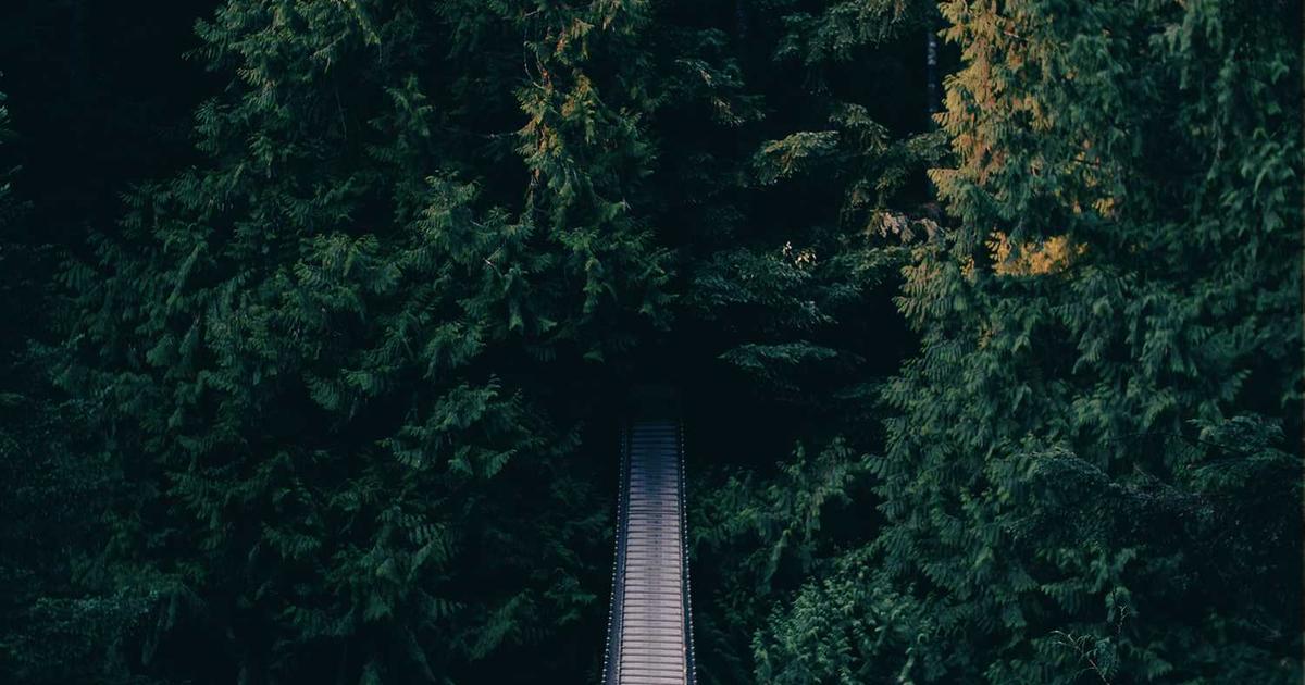 Lawyer reviewing documents on multiple screens with AI assistance