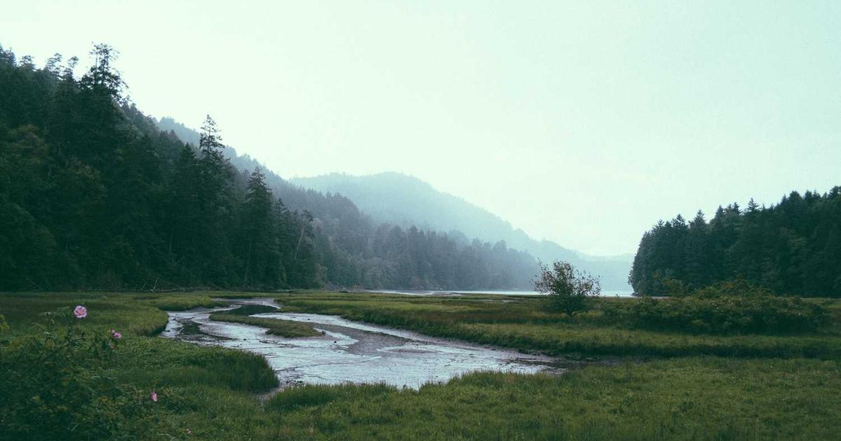 Law firm digital document management system showing automated contract and case file processing