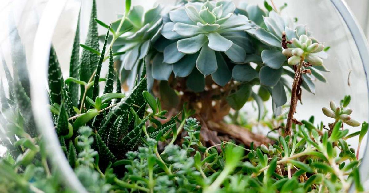 Digital workflow diagram showing document automation