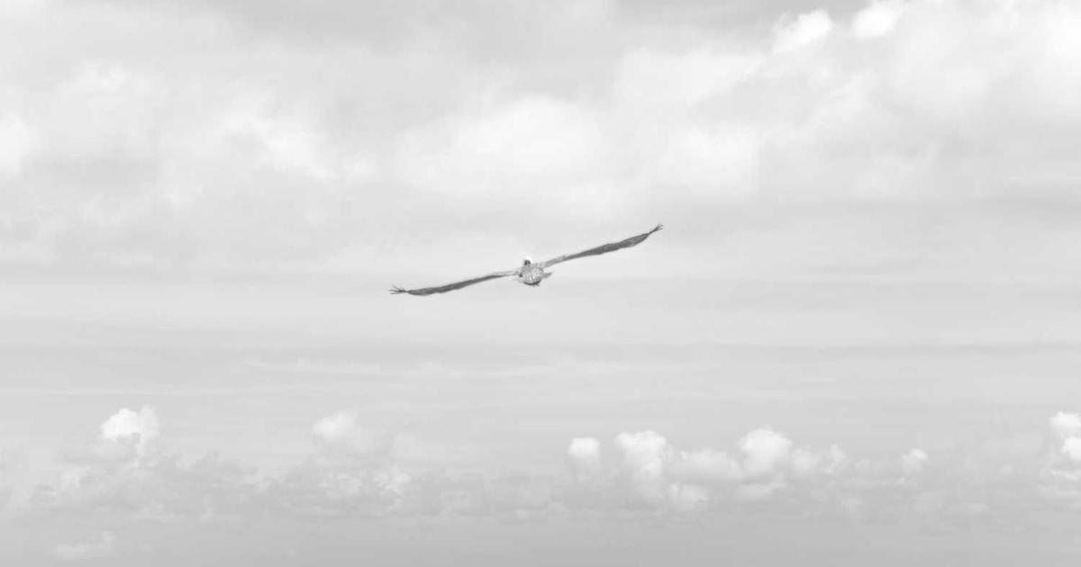 Stack of restaurant invoices